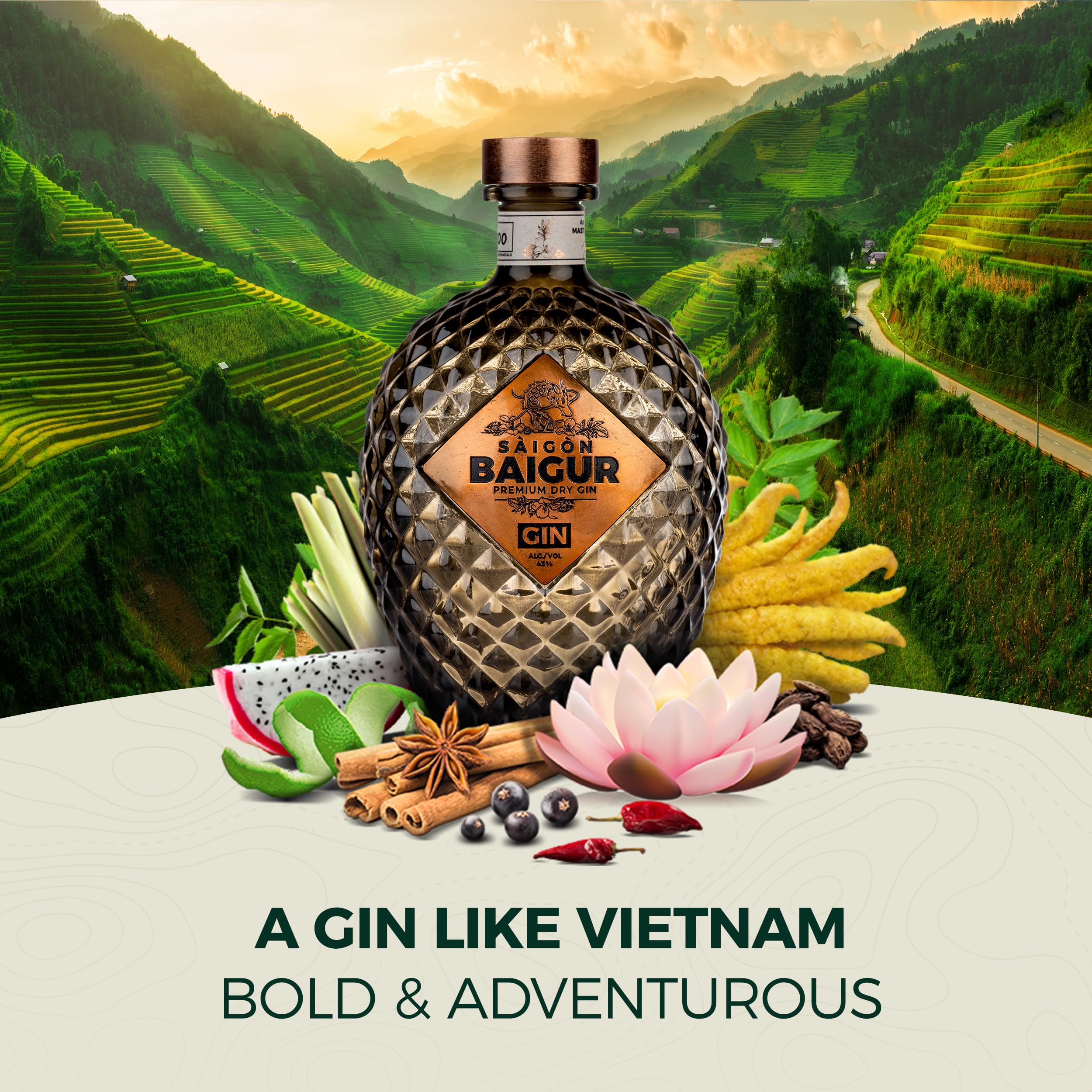 Khi Tinh Túy Thảo Mộc Việt Nằm Gọn Trong "Trứng Rồng" Huyền Thoại