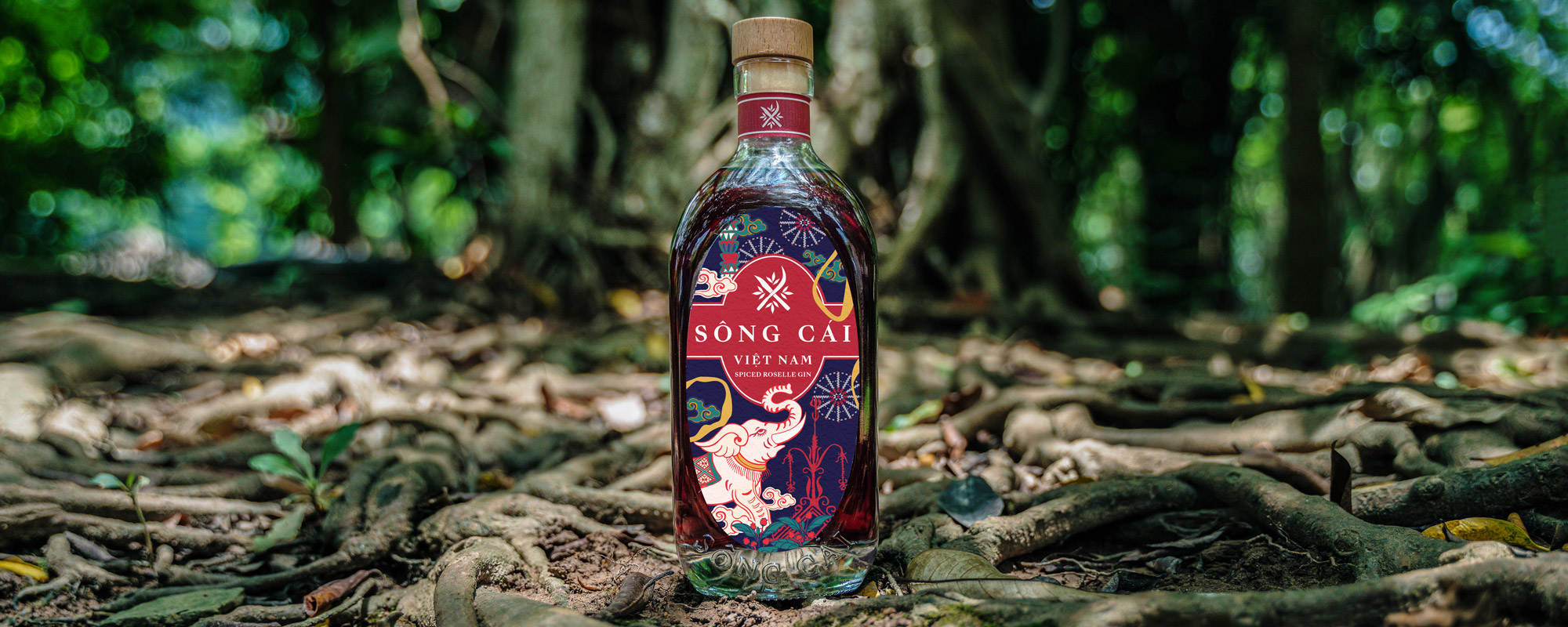SÔNG CÁI GIN – HÀNH TRÌNH ĐƯA THẢO MỘC VIỆT NAM VÀO THẾ GIỚI GIN THỦ CÔNG