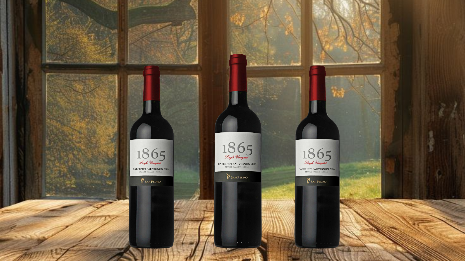 Review Rượu Vang 1865 Cabernet Sauvignon: Đẳng Cấp Vang Chile Được Ưa Chuộng Nhất